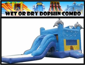 Wet or Dry Dolphin Combo